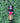 Great American Bulls Ice Cream Cone 16oz Thirst Hydration Water Bottle