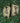 '05 Forever OD Green Script 59Fifty
