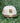 Birmingham Barons Alma Mater 59Fifty-1