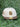 Birmingham Barons Alma Mater 59Fifty-1