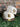 Birmingham Barons Alma Mater 59Fifty-4