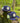Chicago Cubs Emerald City 59fifty-1