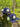 Chicago Cubs Emerald City 59fifty-1