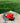 White Sox Color Pack Orange 59Fifty-1