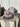 Bulls 59Fifty ColorPop-3