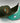 Seaweed Series Kannapolis Cannon Ballers 59fifty