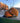 Cornucopia Pack 2Tone 59Fifty Fitted