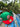 Mexico WBC 59Fifty 2 Tone Fitted