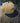 Champagne Pack Bears 59Fifty