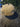 Champagne Pack Bears 59Fifty
