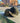 Cornucopia Pack Tonal Black 59Fifty Fitted