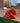 Cornucopia Pack Orange 59Fifty Fitted