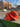 Cornucopia Pack Orange 59Fifty Fitted