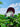 1080º Garra Chrome and Powder Abstract Batterman 59Fifty