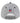 Bears New Era 2025 NFC North Division Champions Locker Room Hat-1