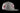 Chicago Bears Heather Gray Crucial Catch Sideline Cap by New Era-1